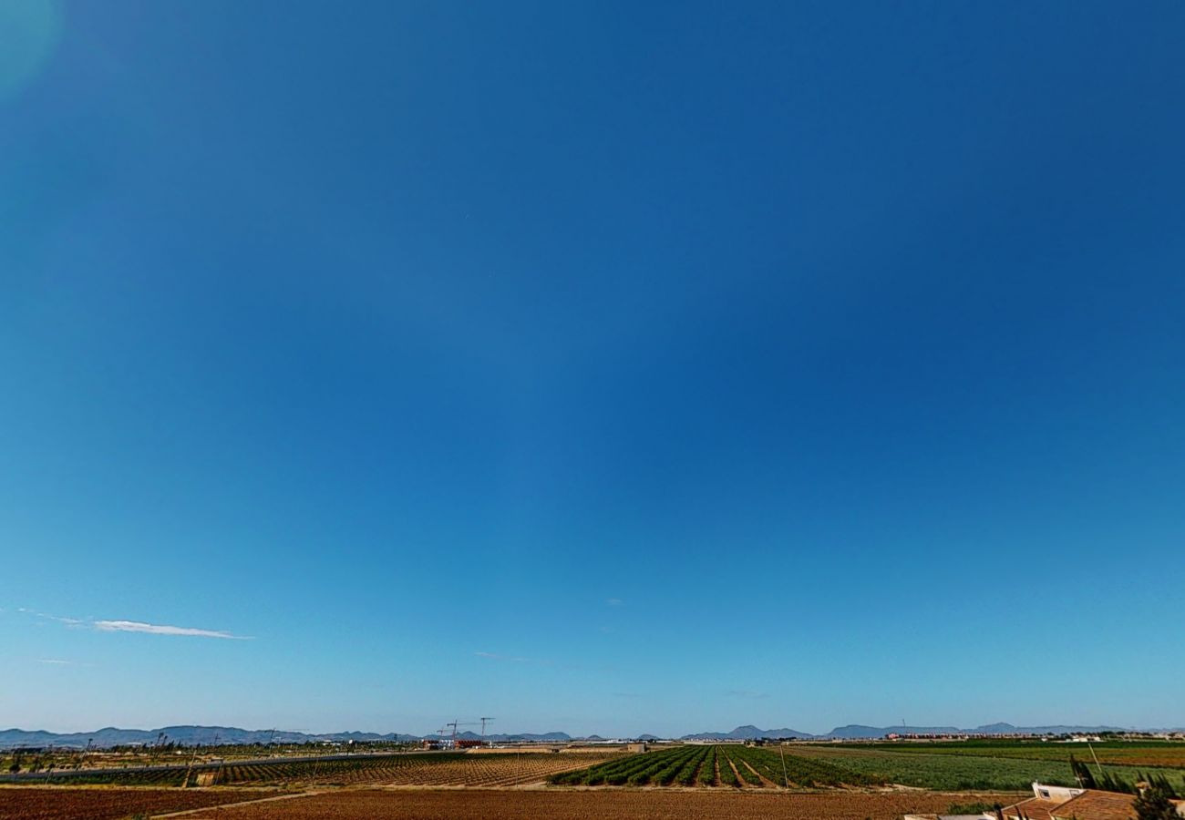 Terraced House in Torre Pacheco - Casa Rosalia - A Murcia Holiday Rentals Property Terraced House in Torre Pacheco - Casa Rosalia - A Murcia Holiday Rentals Property