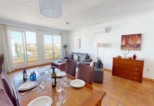 Apartment in Roldan - Penthouse TownCentre-Murcia Holiday Rentals Apartment in Roldan - Penthouse TownCentre-Murcia Holiday Rentals