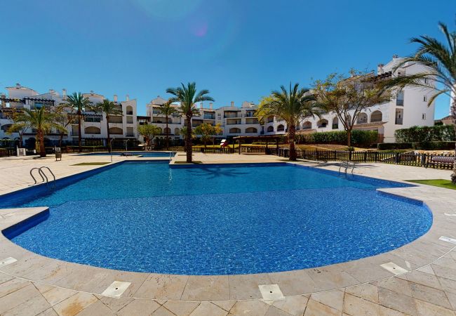 Apartment in Roldan - Penthouse TownCentre-Murcia Holiday Rentals Apartment in Roldan - Penthouse TownCentre-Murcia Holiday Rentals
