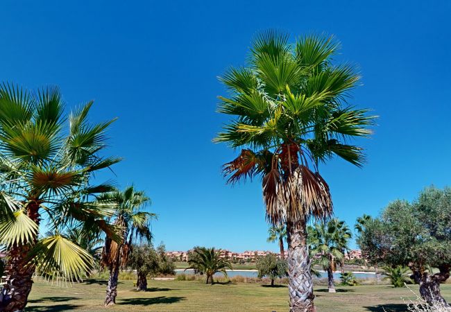 Apartment in Torre Pacheco - Casa Bonsai II - A Murcia Holiday Rentals Property Apartment in Torre Pacheco - Casa Bonsai II - A Murcia Holiday Rentals Property