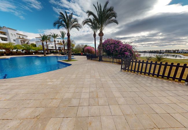 Apartment in Roldan - Casa Emperador C-Murcia Holiday Rentals Property Apartment in Roldan - Casa Emperador C-Murcia Holiday Rentals Property