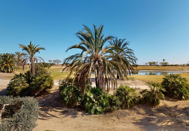 Apartment in Roldan - Casa Salmonete L-Murcia Holiday Rentals Property Apartment in Roldan - Casa Salmonete L-Murcia Holiday Rentals Property