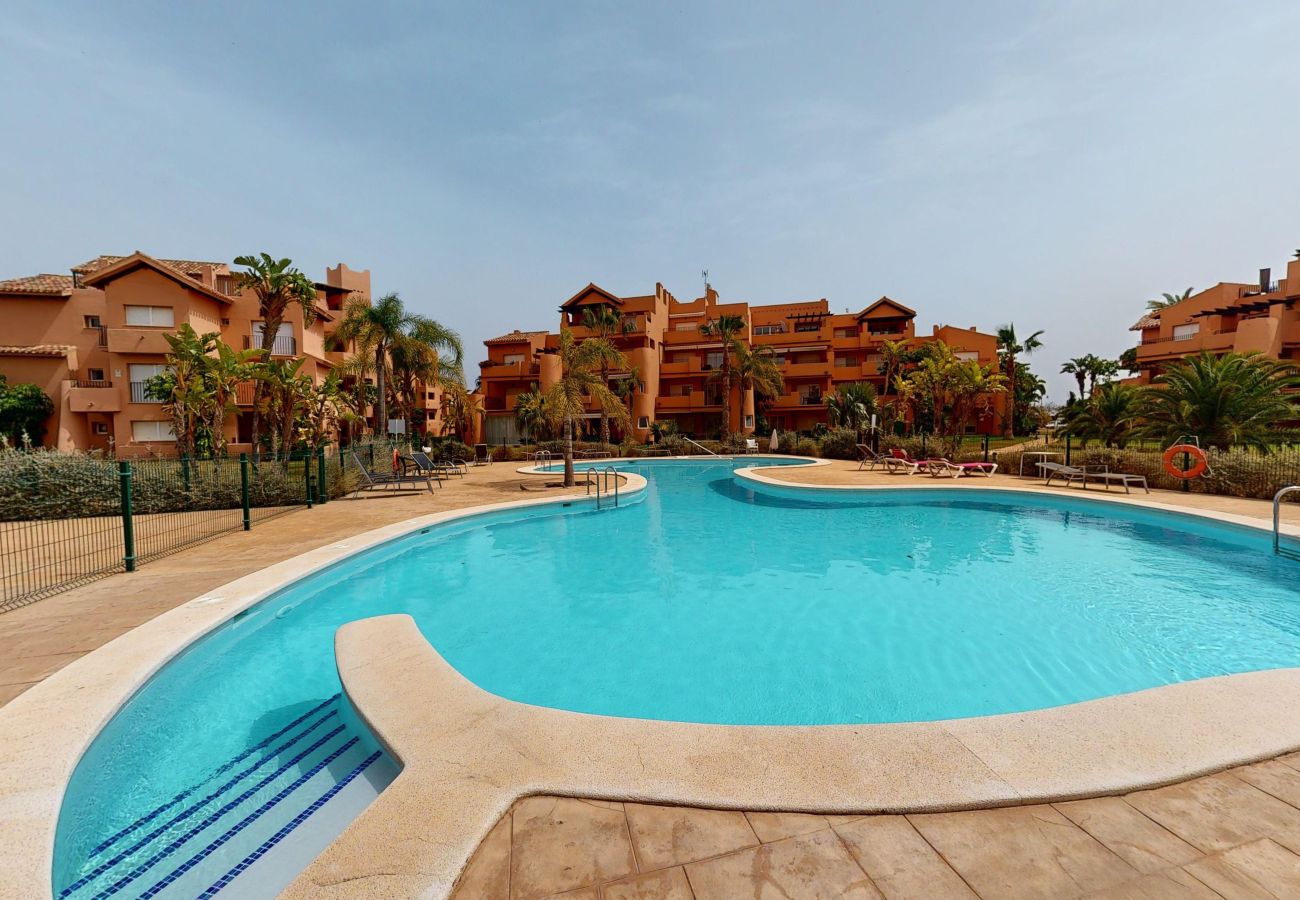 Apartment in Torre Pacheco - Casa Bonsai M-Murcia Holiday Rentals Property Apartment in Torre Pacheco - Casa Bonsai M-Murcia Holiday Rentals Property