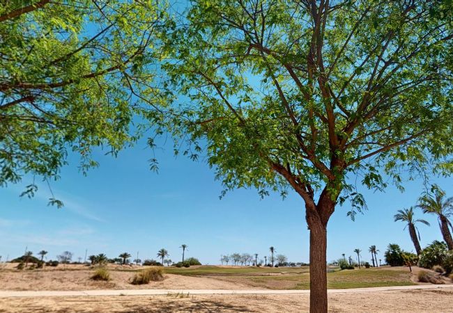 Apartment in Roldan - Casa Anchoa J-Murcia Holiday Rentals Property Apartment in Roldan - Casa Anchoa J-Murcia Holiday Rentals Property