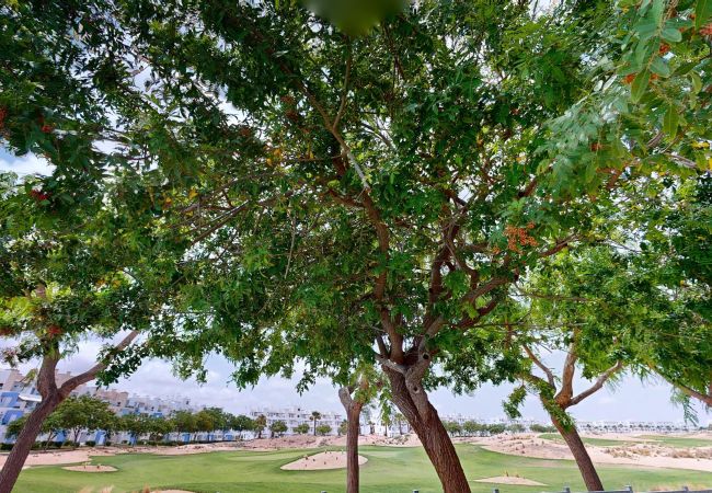 Apartment in Roldan - Casa Brasilena B-Murcia Holiday Rentals Property Apartment in Roldan - Casa Brasilena B-Murcia Holiday Rentals Property