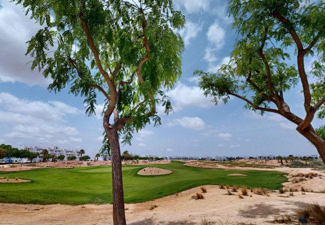 Apartment in Roldan - Casa Brasilena B-Murcia Holiday Rentals Property Apartment in Roldan - Casa Brasilena B-Murcia Holiday Rentals Property