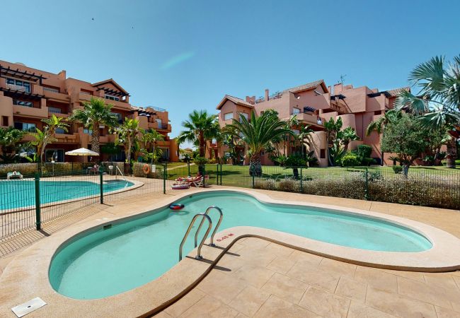 Apartment in Torre Pacheco - Casa PedroRoca P-Murcia Holiday Rentals Property Apartment in Torre Pacheco - Casa PedroRoca P-Murcia Holiday Rentals Property