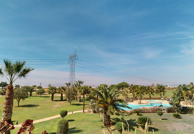 Apartment in Torre Pacheco - Casa PedroRoca VA-Murcia Holiday Rentals Property Apartment in Torre Pacheco - Casa PedroRoca VA-Murcia Holiday Rentals Property