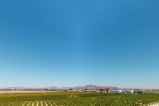 Apartment in Torre Pacheco - Penthouse Panorama-Murcia Holiday Rentals Property