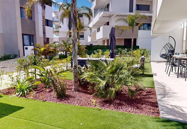 Apartment in Torre Pacheco - Casa Jardin - A Murcia Holiday Rentals Property Apartment in Torre Pacheco - Casa Jardin - A Murcia Holiday Rentals Property