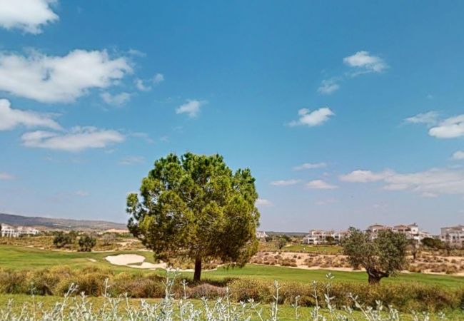 Apartment in Sucina - Casa Atlantico 126-Murcia Holiday Rentals Property Apartment in Sucina - Casa Atlantico 126-Murcia Holiday Rentals Property