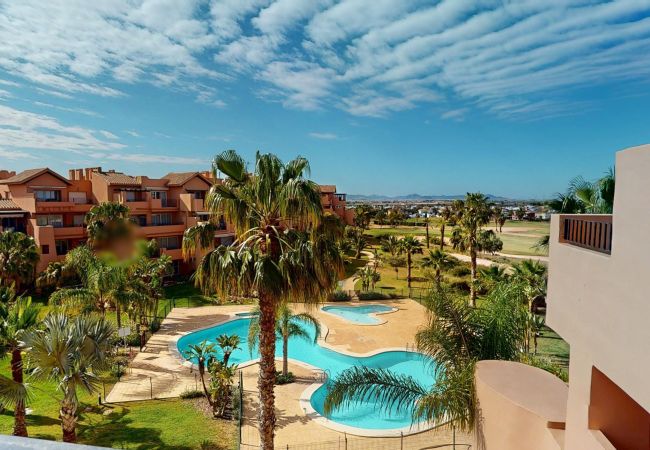 Apartment in Torre Pacheco - Casa Abeto JMB-Murcia Holiday Rentals Property Apartment in Torre Pacheco - Casa Abeto JMB-Murcia Holiday Rentals Property