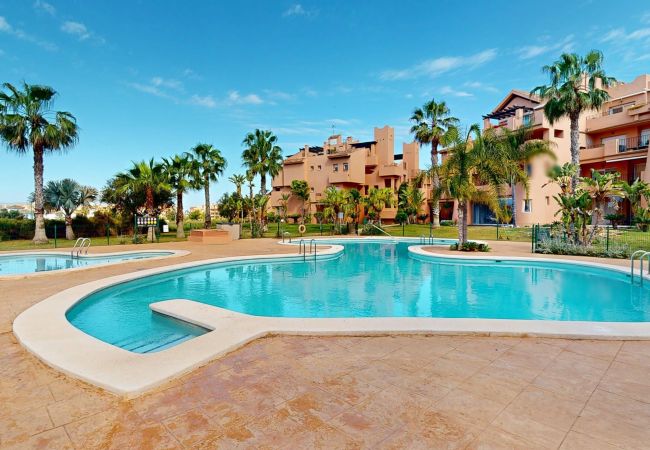 Apartment in Torre Pacheco - Casa Abeto JMB-Murcia Holiday Rentals Property Apartment in Torre Pacheco - Casa Abeto JMB-Murcia Holiday Rentals Property