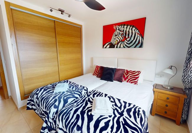 Apartment in Torre Pacheco - Casa Abeto JMB-Murcia Holiday Rentals Property Apartment in Torre Pacheco - Casa Abeto JMB-Murcia Holiday Rentals Property