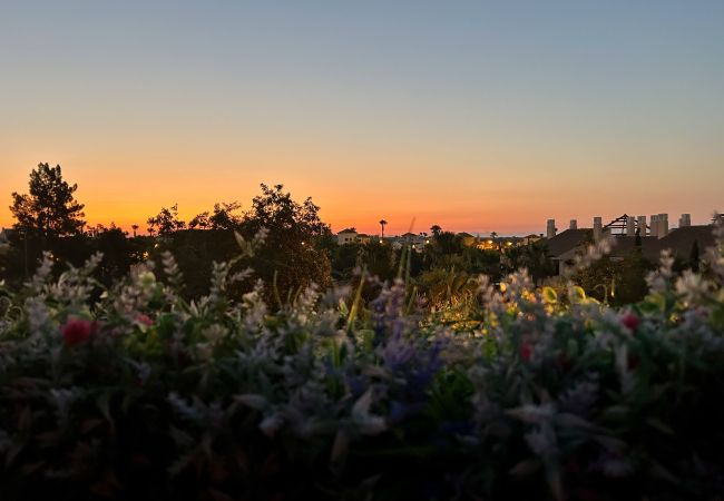 Apartment in Fuente Alamo - Casa Malasia M-Murcia Holiday Rentals Property Apartment in Fuente Alamo - Casa Malasia M-Murcia Holiday Rentals Property